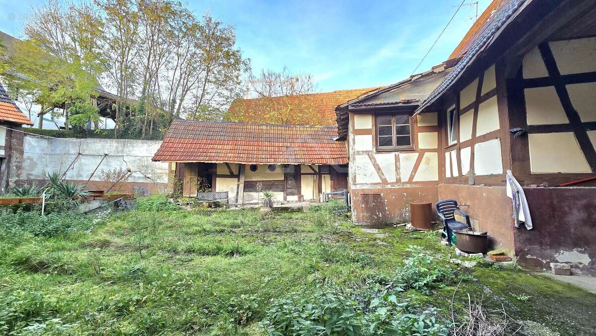 Maison à WINTZENBACH