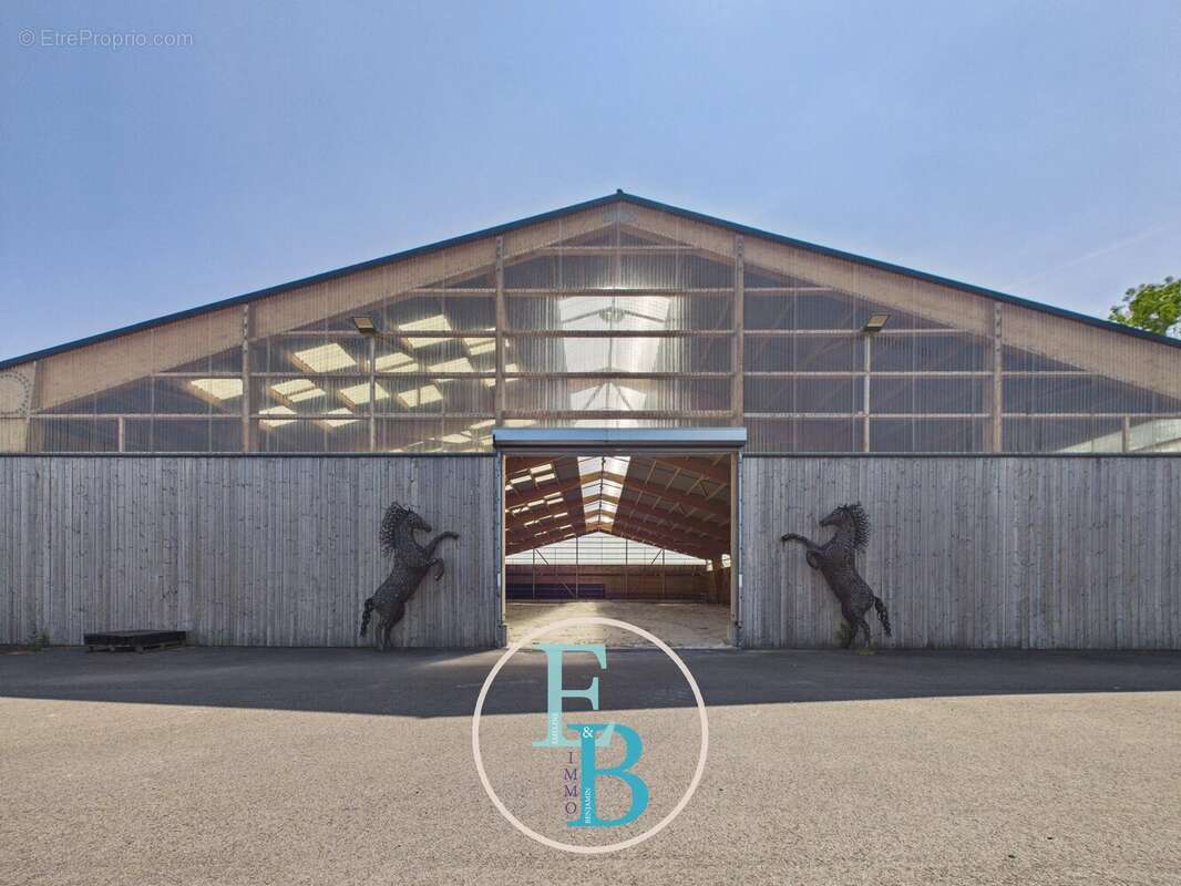Grangues (pays d'auge) - centre d'entrainement et de reeducation equin avec balneotherapie - photo 32