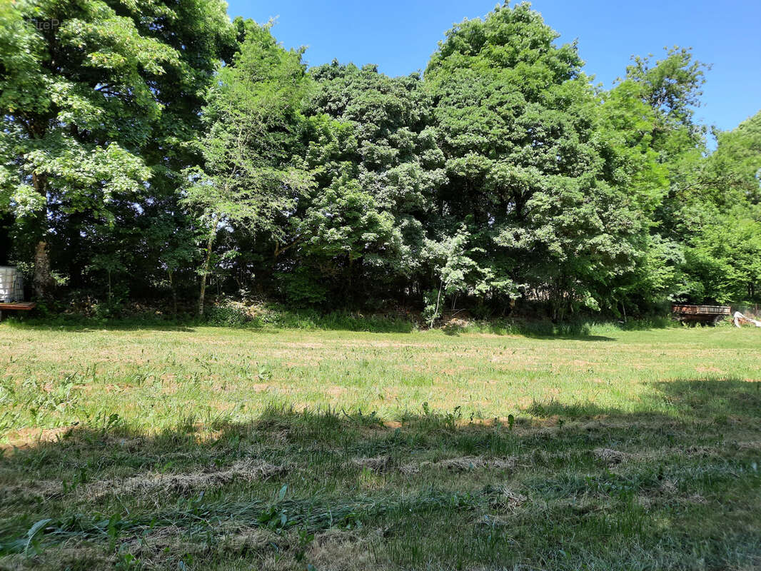 Terrain à VIALA-DU-PAS-DE-JAUX