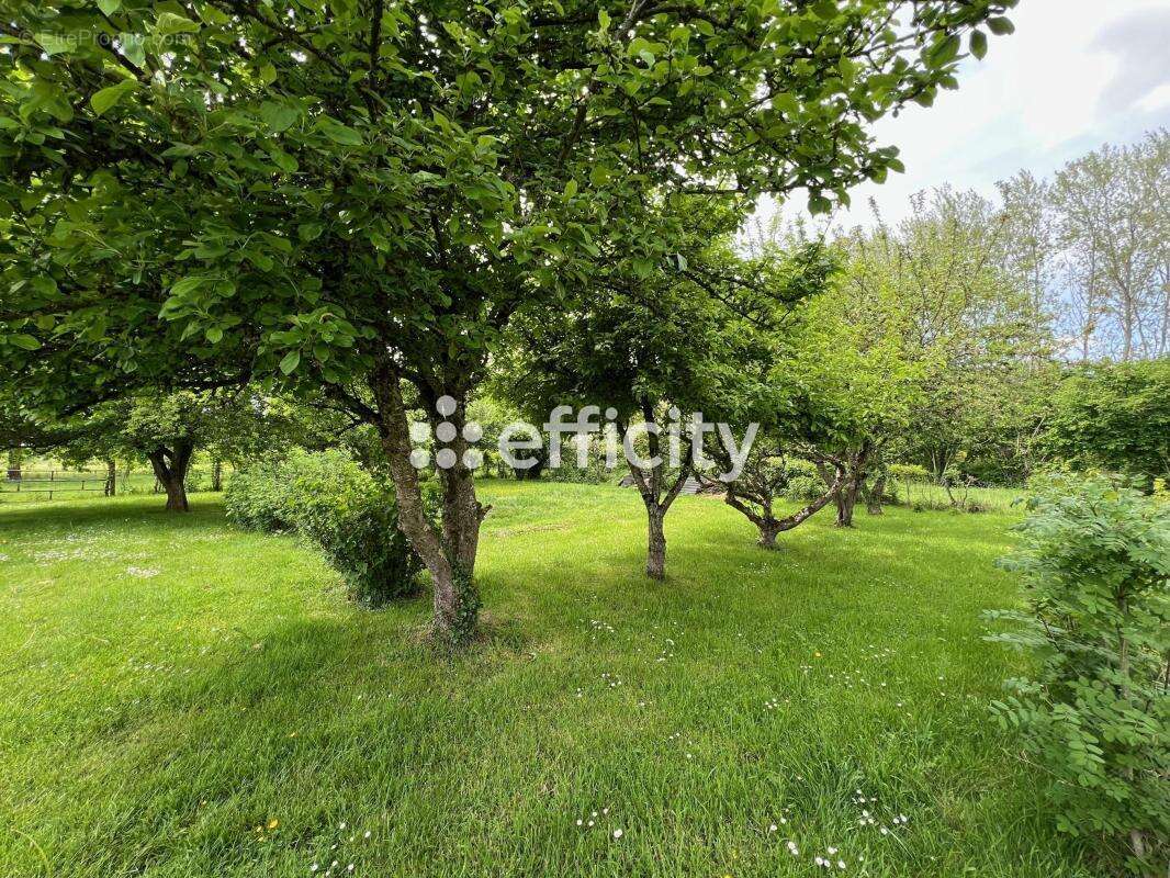 Maison à MORTAGNE-AU-PERCHE
