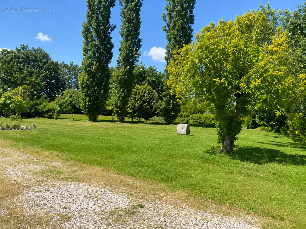 Maison à LES CLOUZEAUX