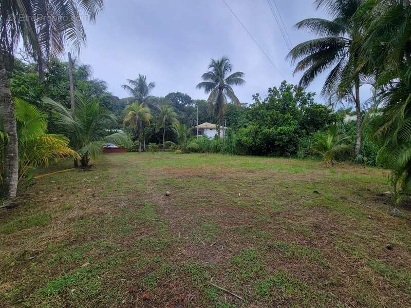 Terrain de 1 702 m² avec maison T4 – Rémire-Montjoly - photo 5