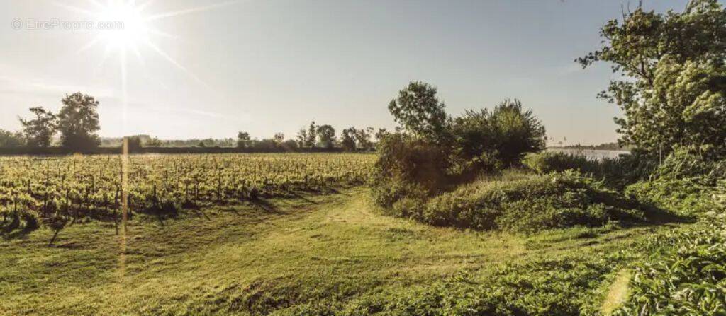 Terrain à SAINT-LAURENT-MEDOC