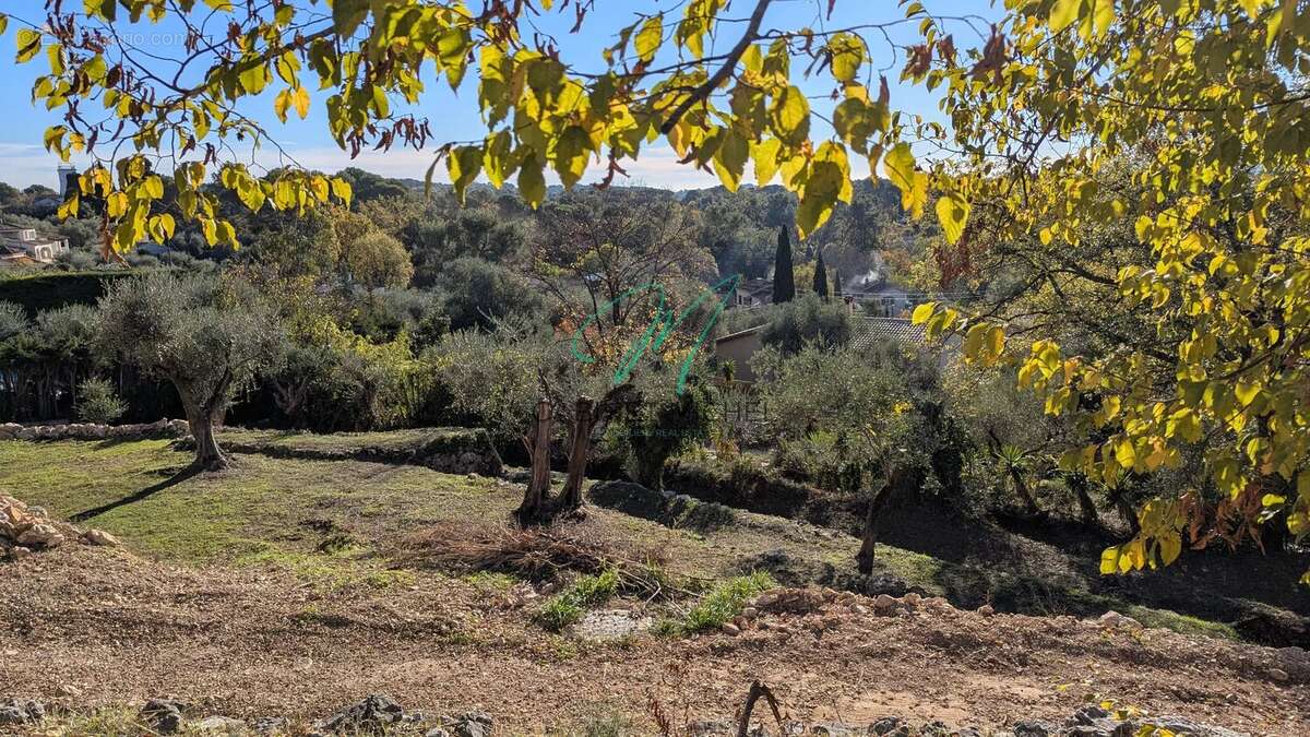 Terrain à ROQUEFORT-LES-PINS