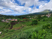 Terrain à LE MORNE-ROUGE