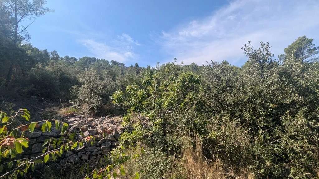 CARCES - Terrain 22.234m² en zone Naturelle - photo 5