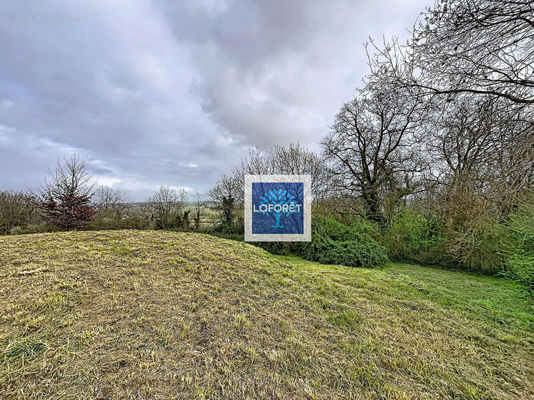 Maison de plain-pied avec 3 suites parentales, spa et garage au calme - photo 10