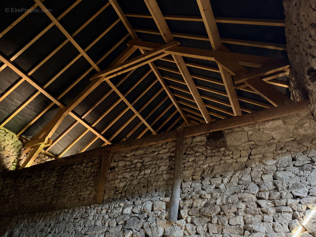 Auv 1225: Maison de caractère, grande grange, toits neufs, 1640m2 - photo 19