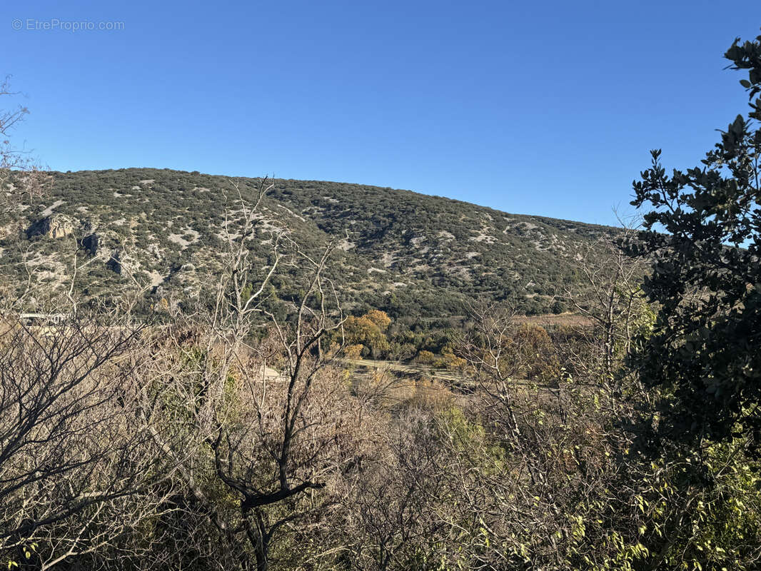Terrain à SAINT-JEAN-DE-FOS