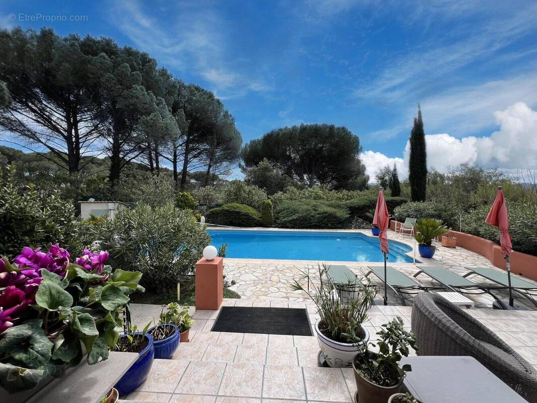 Photo 1 - Maison à VIDAUBAN