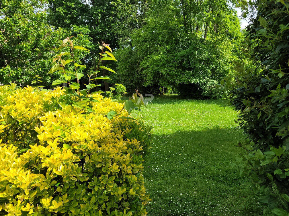 Terrain à SAINT-GERMAIN-EN-LAYE
