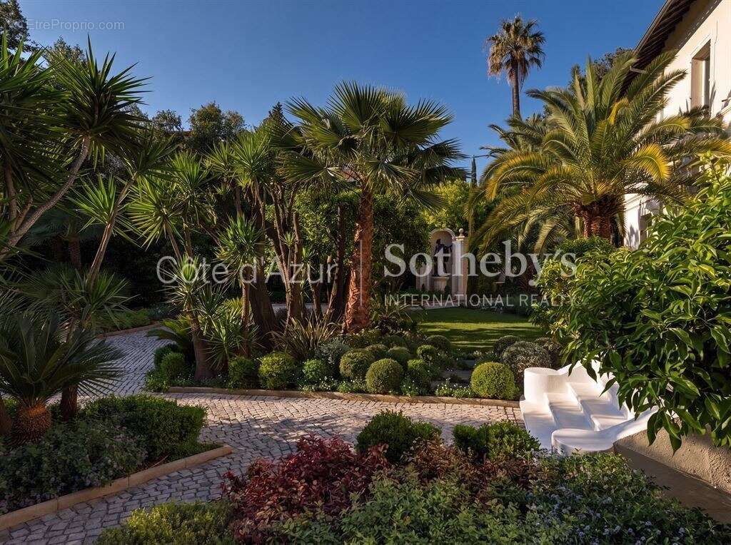 Cannes centre. Maison de Maître avec parc, piscine et maison d’amis à pied de la Croisette. - photo 5