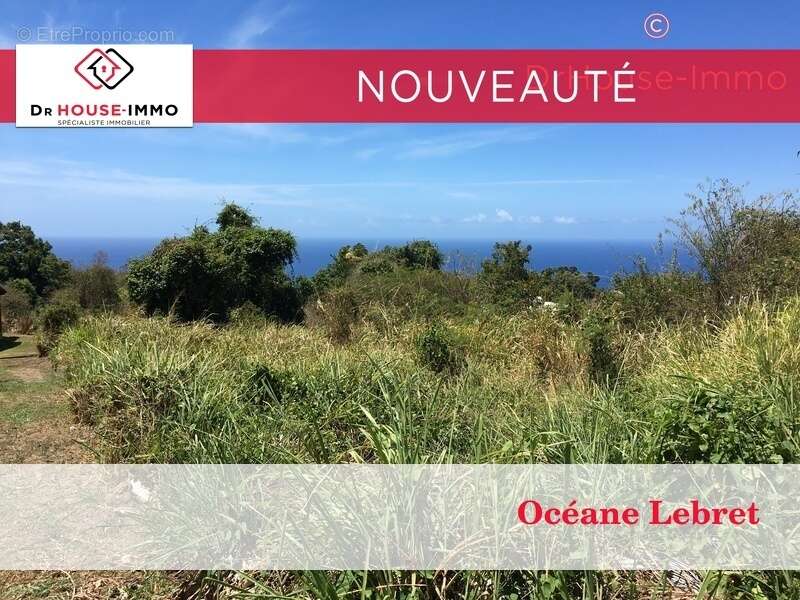 Terrain à VIEUX-HABITANTS