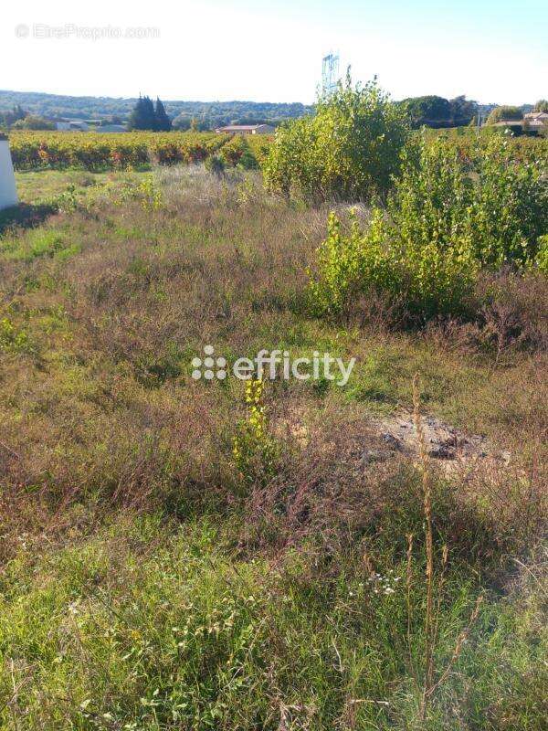 Terrain à SAINT-PAULET-DE-CAISSON