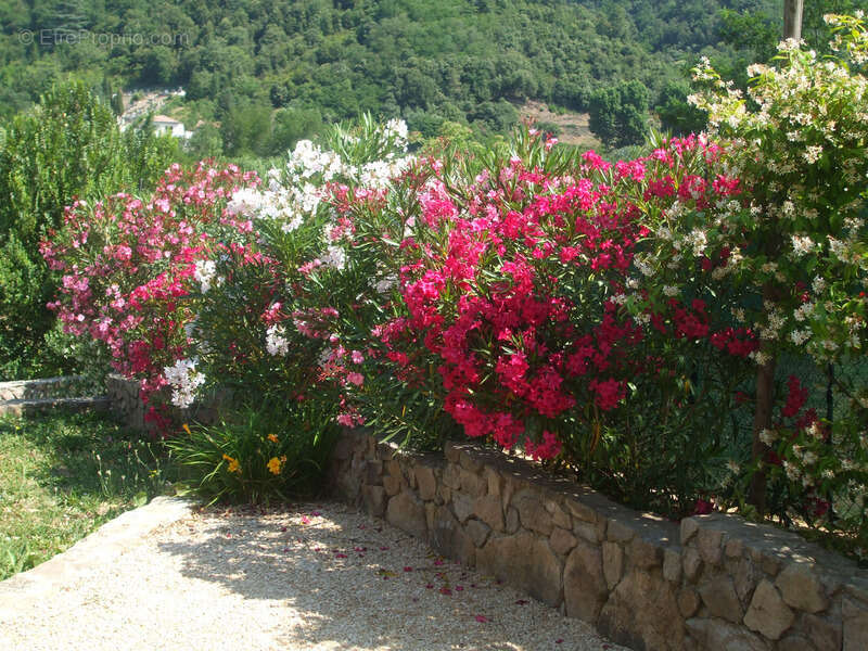 Ardèche, dans la belle Vallée de l’Eyrieux – Saint-Fortunat-sur-Eyrieux – Au bord de la voie douce La Dolce Via - Grande maison, - photo 35