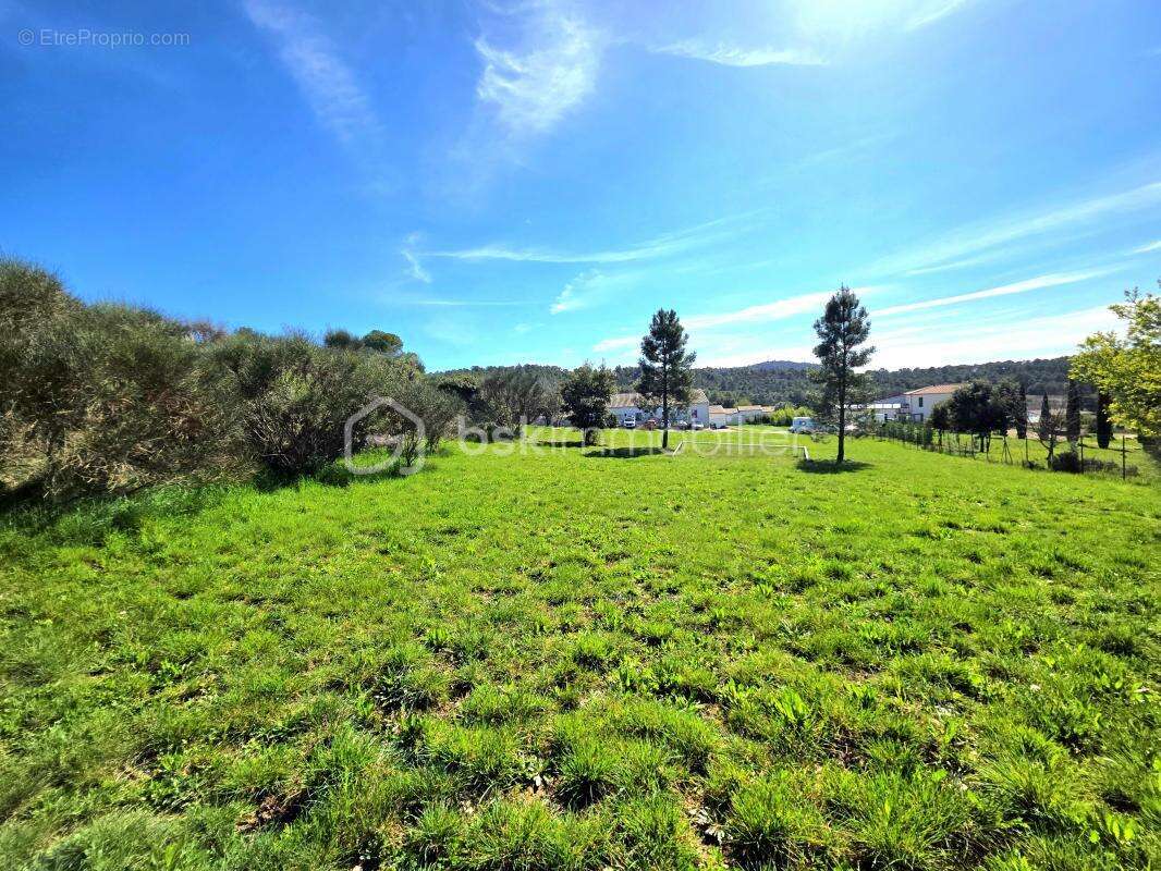 Mondragon / 2 villas / 390 m² habitable / piscine / terrain 7 500 m² - photo 7