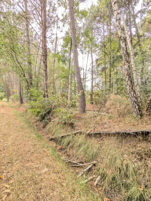 Terrain à vendre de 2 187,00 m² MEZERAY (72) - photo 6