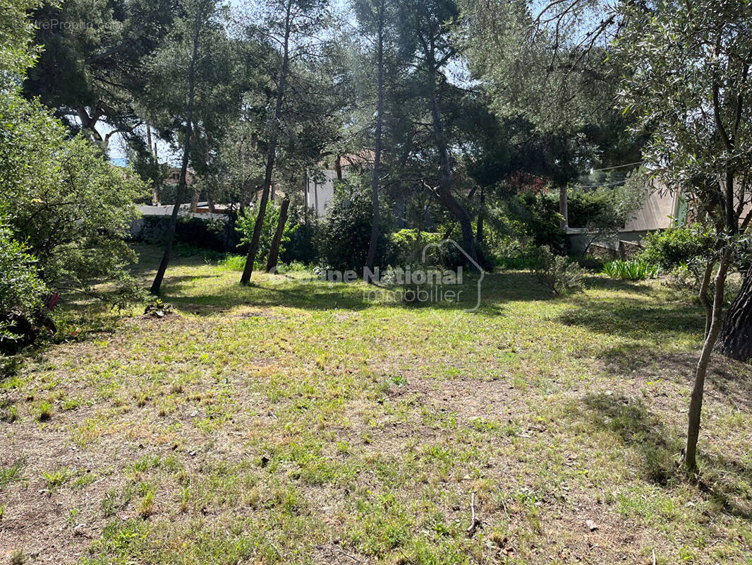 Terrain à SAUSSET-LES-PINS