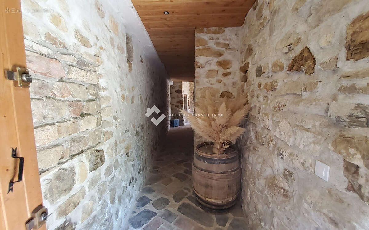 Maison 278 m² à Saint-Florent-Sur-Auzonnet  - photo 3