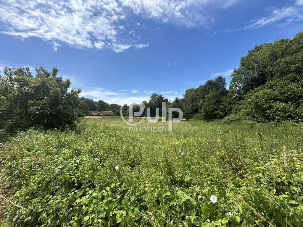 À VENDRE - Authentique Longère avec vaste hangar sur 4 549 m² de terrain à Conchy-sur-canche - photo 6
