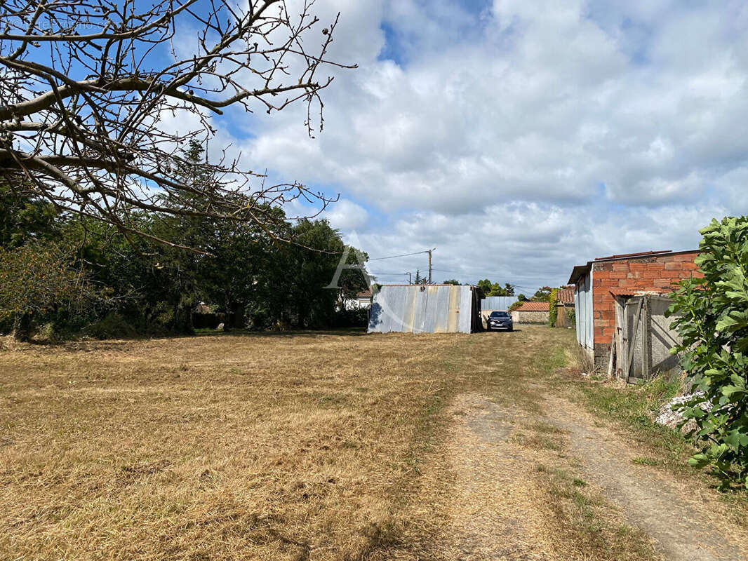 Terrain à LONGEVILLE-SUR-MER