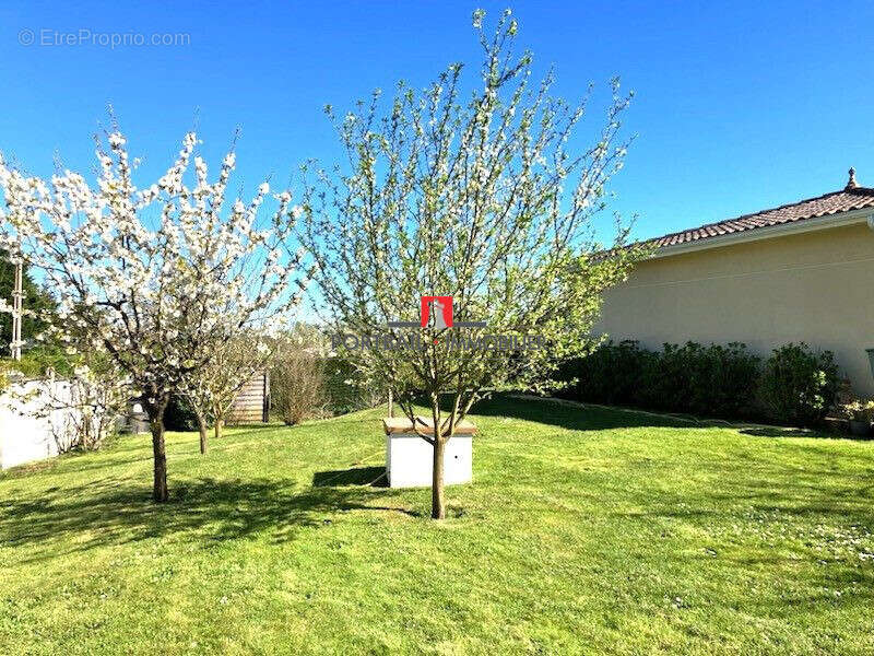Maison à SAINT-ANDRE-DE-CUBZAC