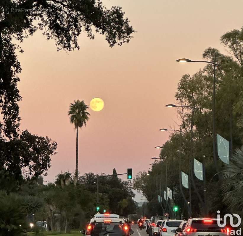 Photo 2 - Commerce à HYERES