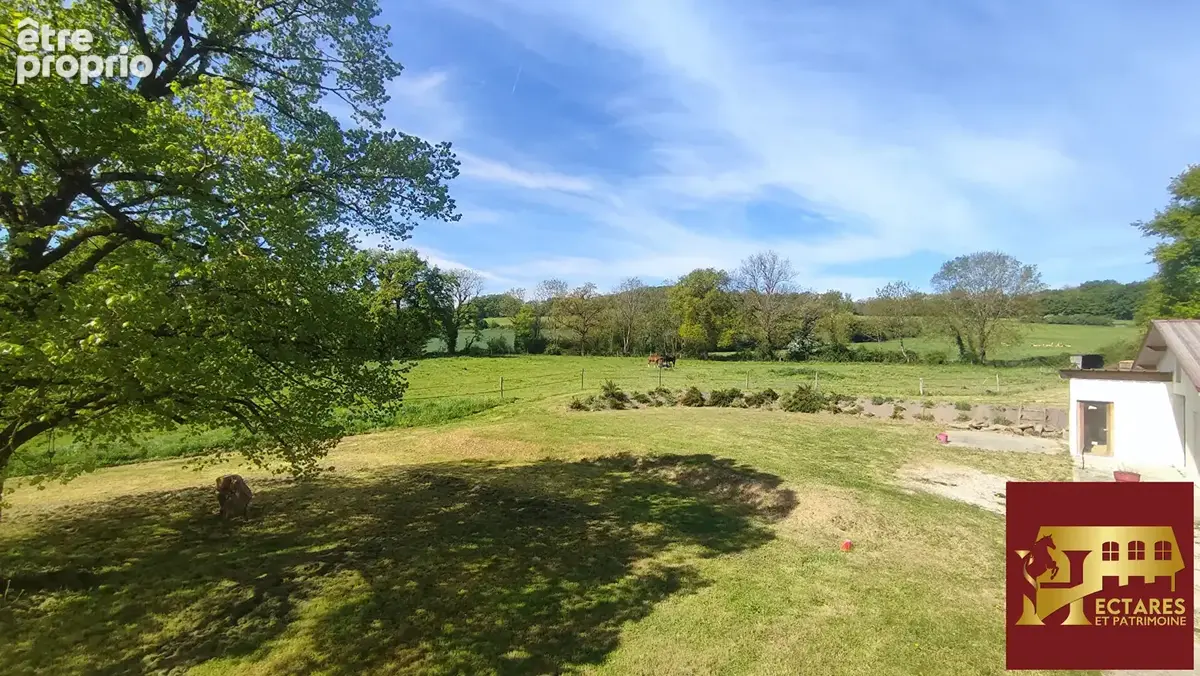 Ancien Moulin 4,3 hectares - photo 15