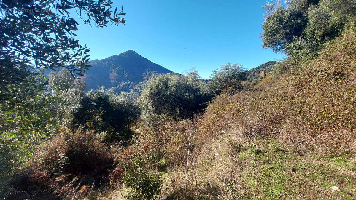 Terrain à VICO