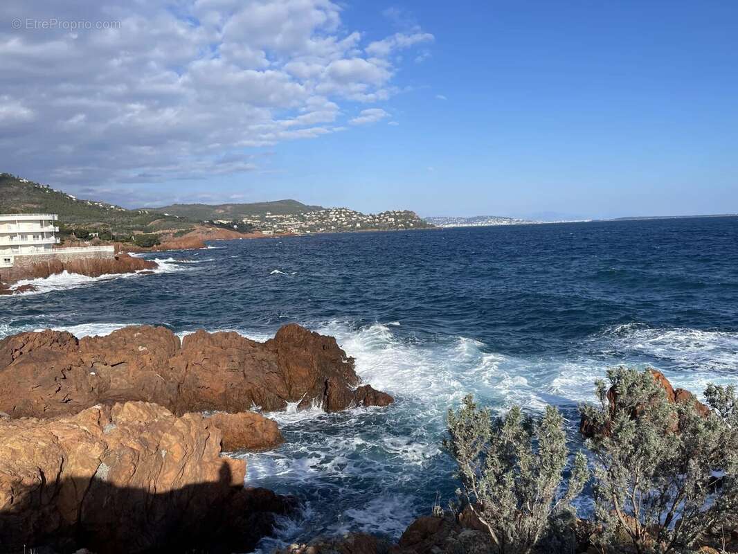 Studio pied-dans-l'eau vue mer panoramique - photo 18