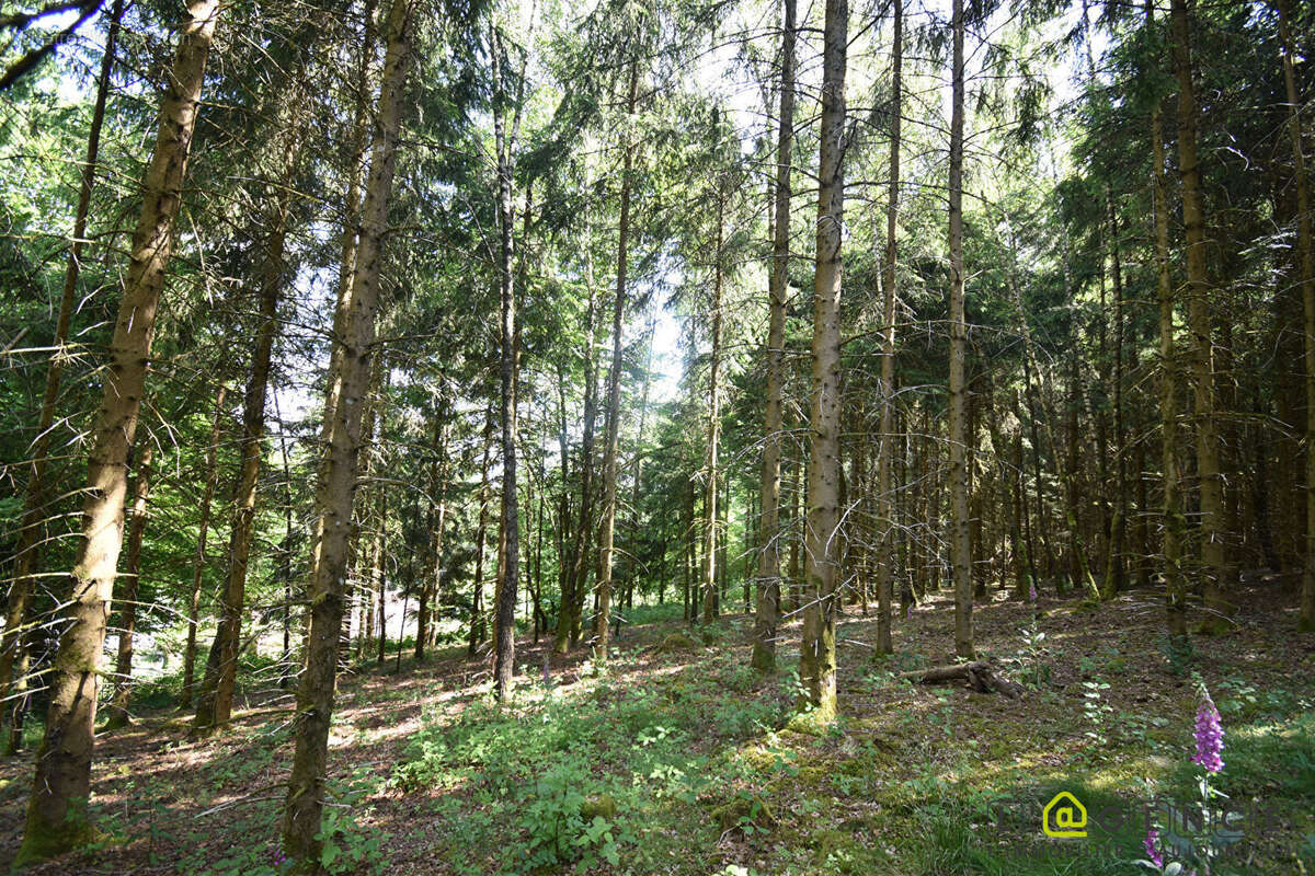 Terrain à ANOULD