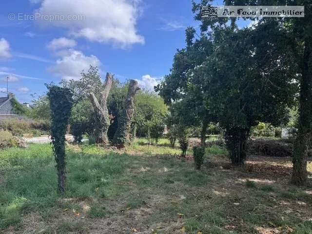 Terrain à HOPITAL-CAMFROUT