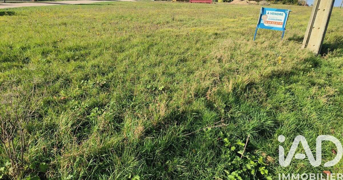 Photo 3 - Terrain à MONTGUEUX