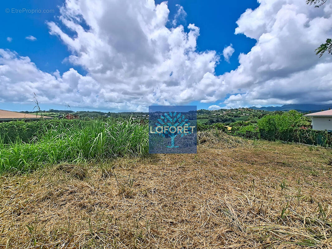 Terrain à LE LAMENTIN