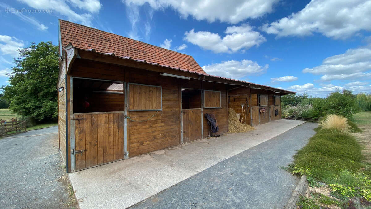 Maison en pierre Saint Jean De Daye 15 pièce(s) ecurie  3.35 hectares - photo 6