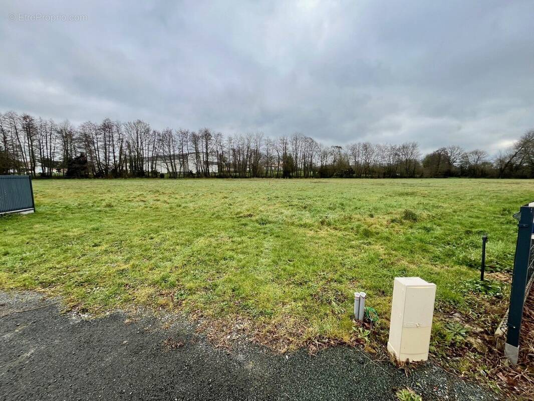 Terrain à BOIS-DE-CENE