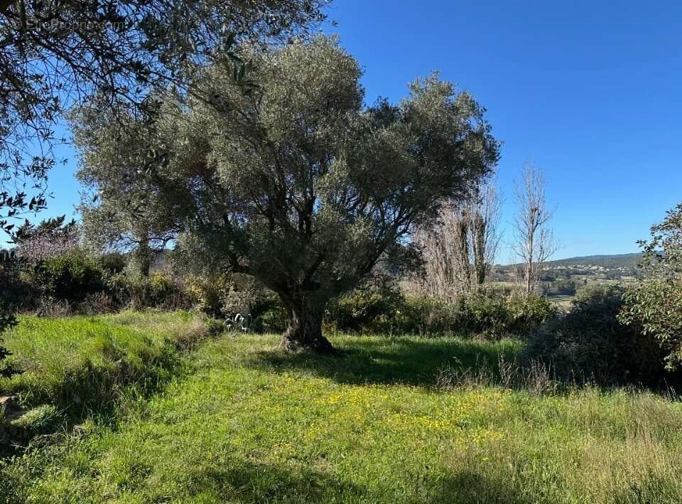Terrain à LE CASTELLET