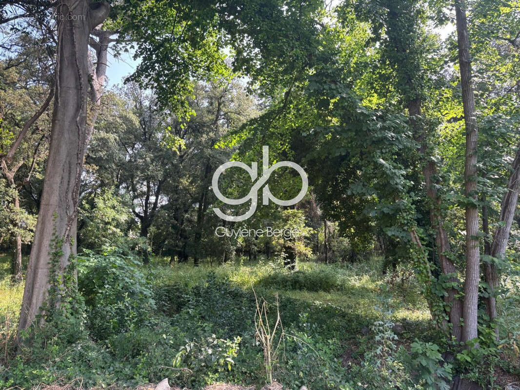 Terrain à MONTPELLIER