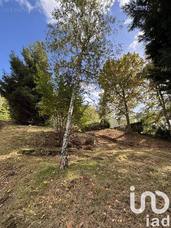 Photo 3 - Maison à ADAINVILLE