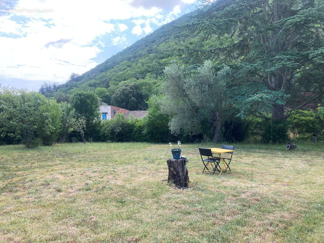 Corbières vertes, maison 4 chambres terrain 5000m2 avec source - photo 11