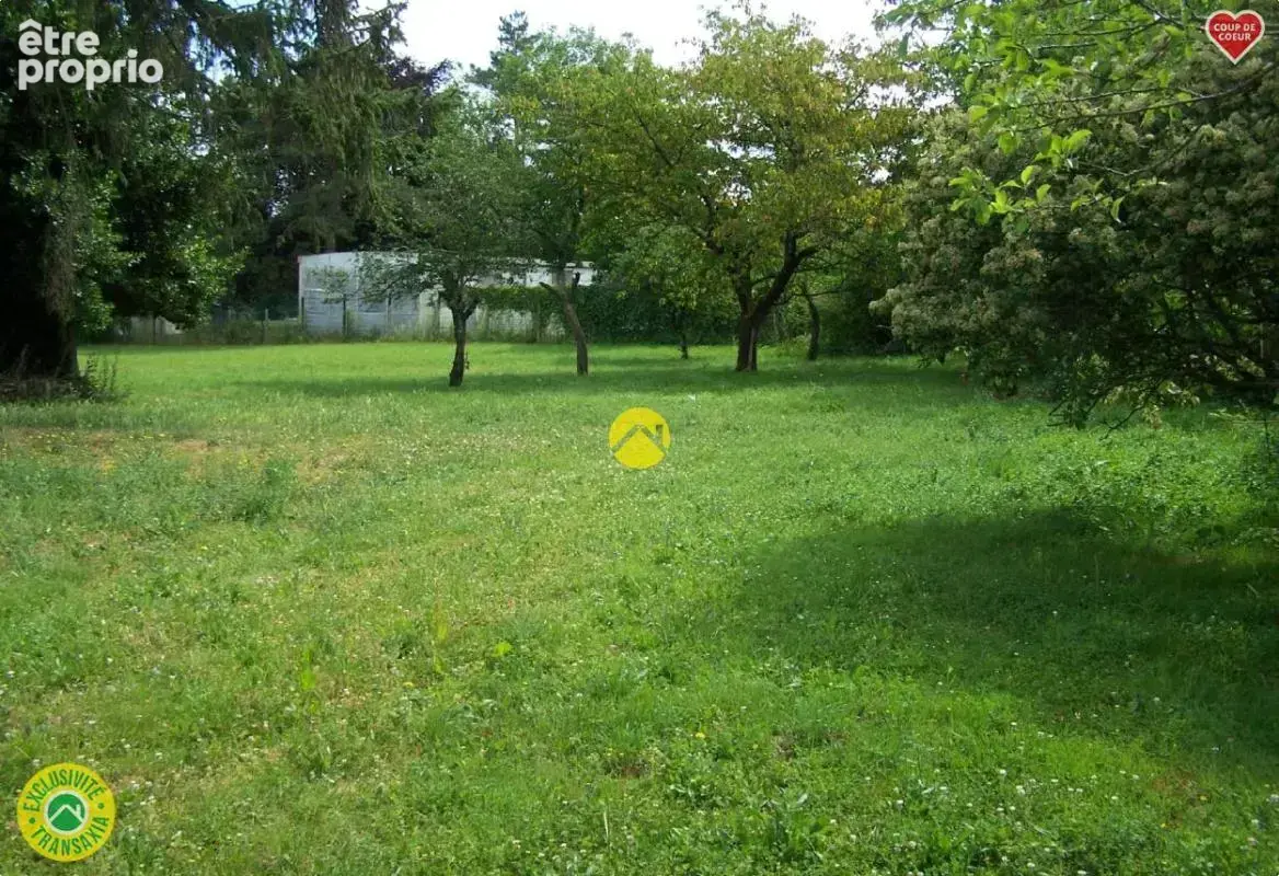 Ideal promoteur - photo 4