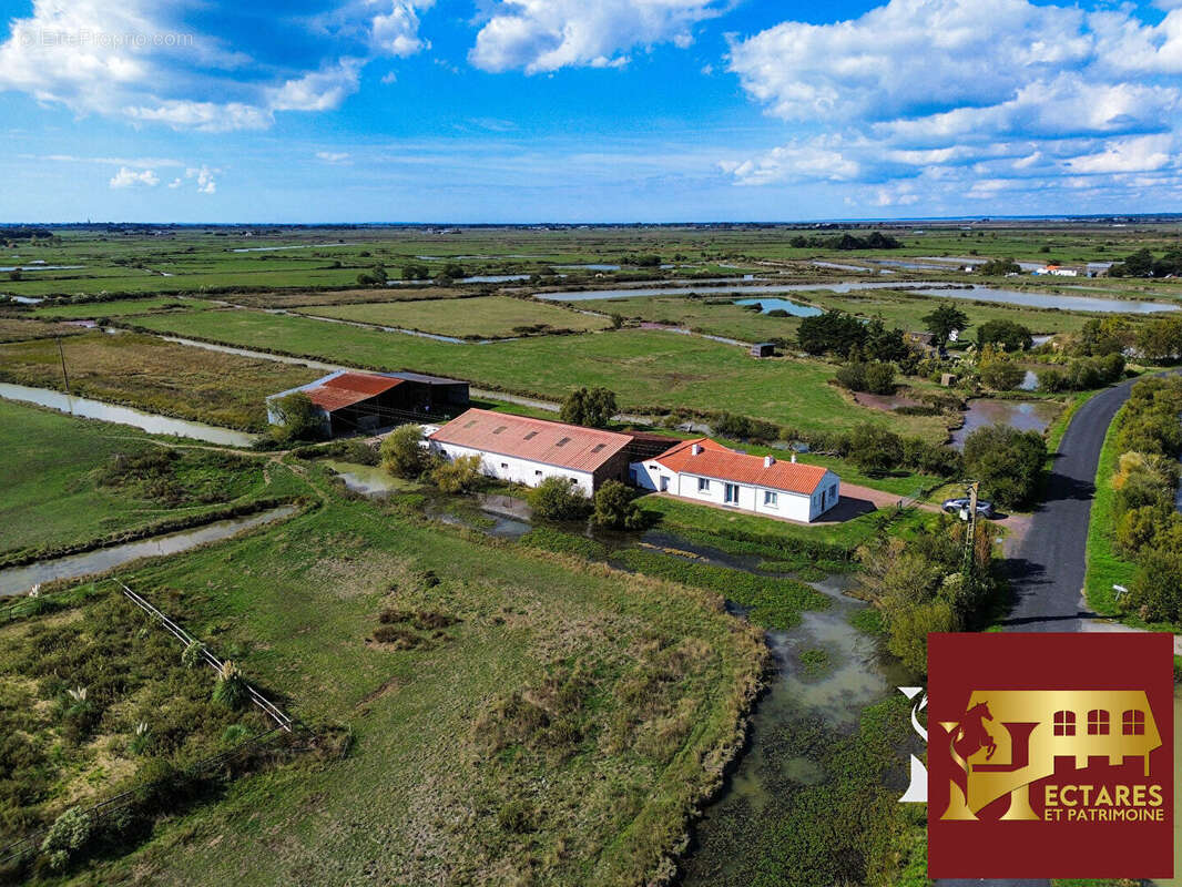 Maison à BOIS-DE-CENE