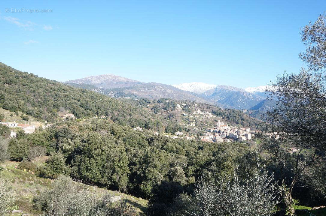 Terrain à VICO