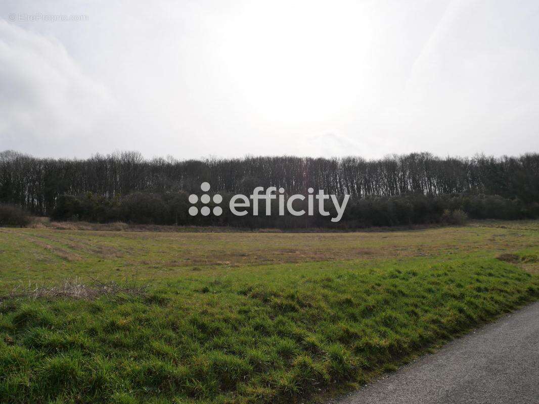 Terrain à SAINTE-GENEVIEVE