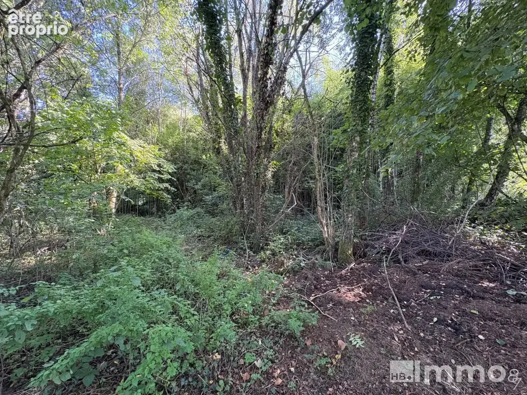 Photo Terrain à Nantiat au prix de 2 000€