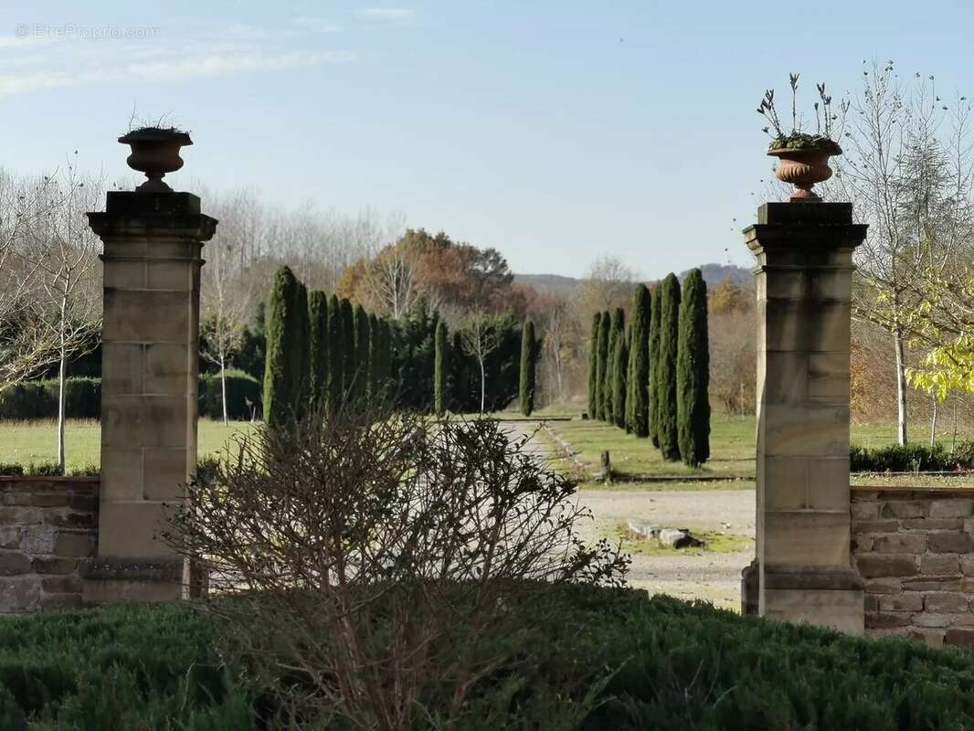 Maison à CORDES-SUR-CIEL
