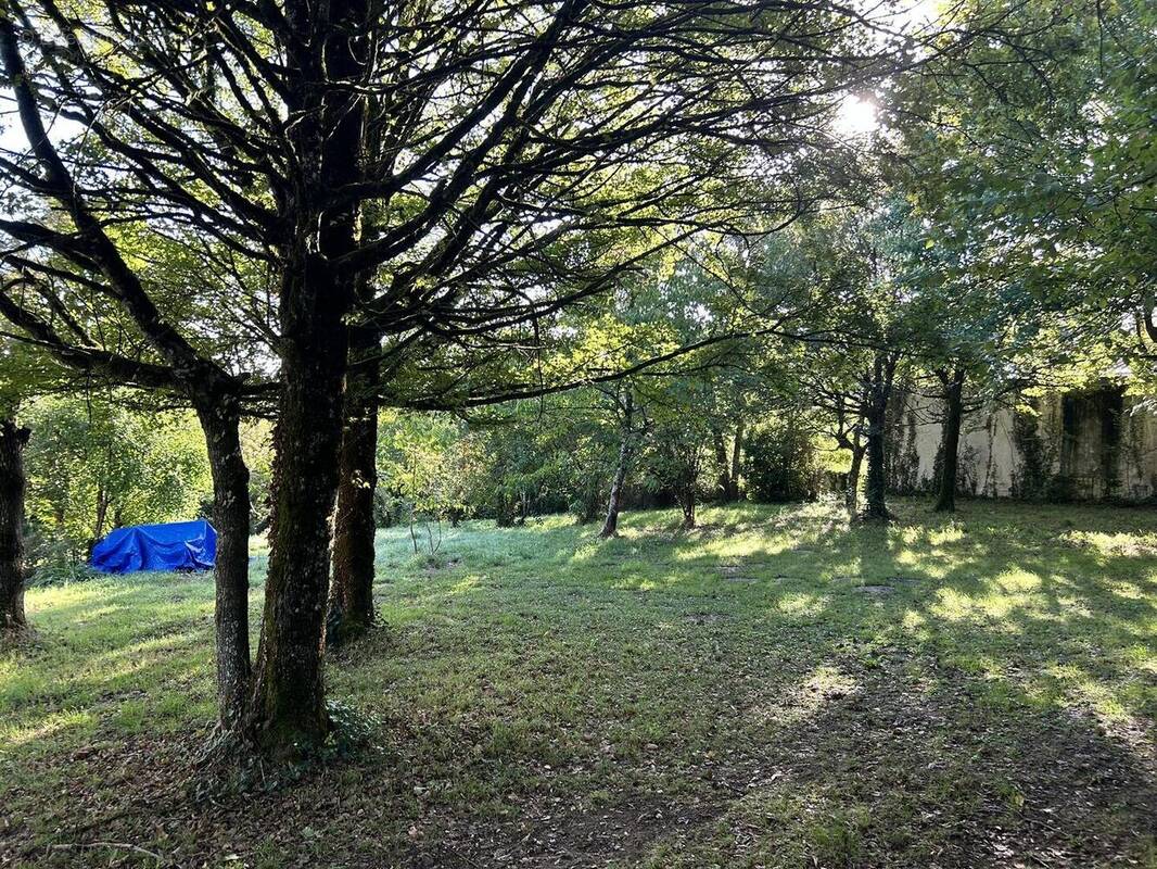 IMG2307 - Terrain à NIORT