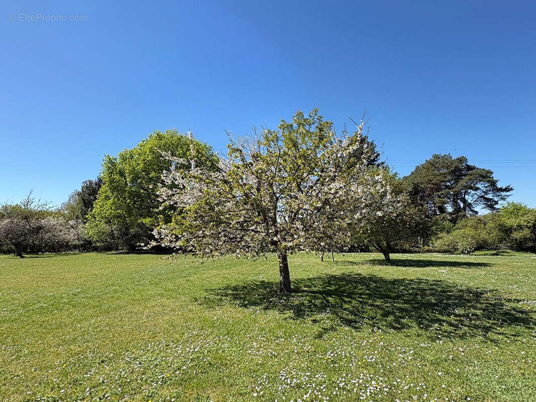 Maison à LA CROIX-EN-TOURAINE