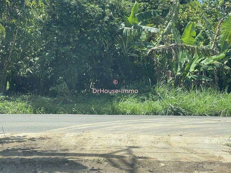 Terrain à VIEUX-HABITANTS