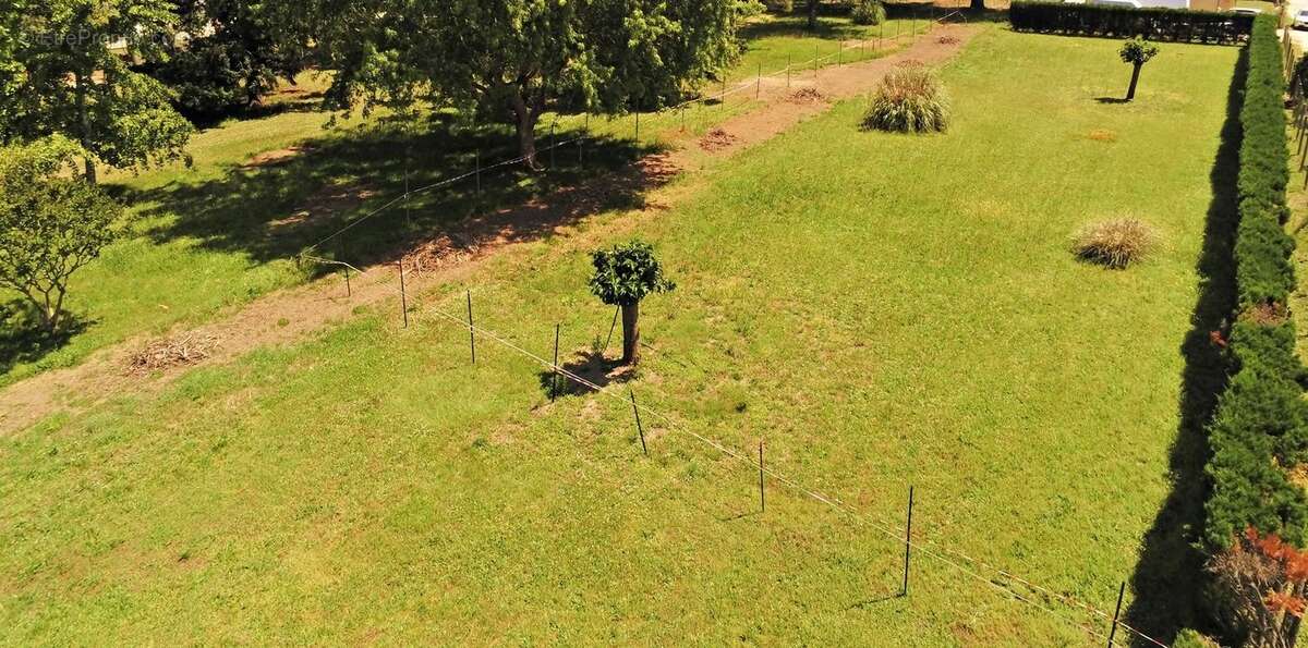 Terrain à bâtir à Saint-Magne-de-Castillon de 1576 m² - photo 2
